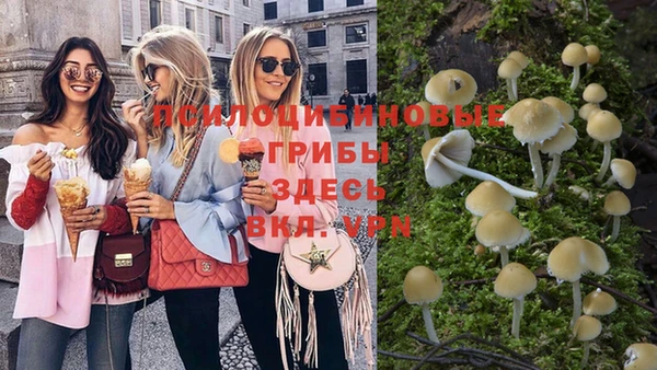 spice Балахна