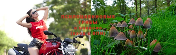 spice Балахна